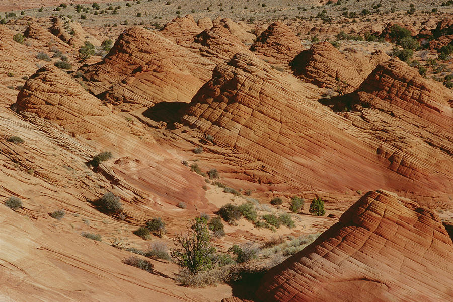 Sculpted Colorado Sandstone Paria Canyon Photograph by Gerry Ellis