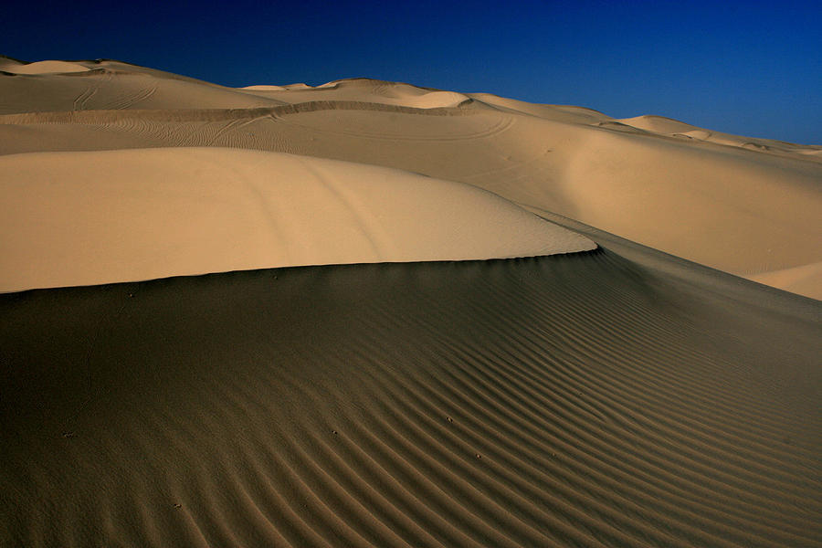 Sculpted Dunes 2 Photograph by Scott Cunningham