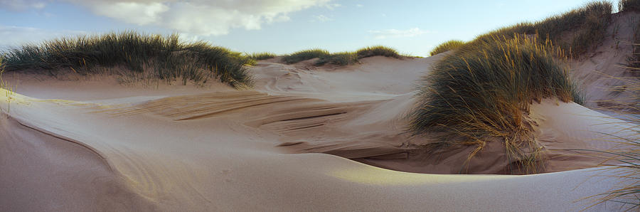 Nature Photograph - Sculpted Dunes At The Sands Of Forvie by Panoramic Images