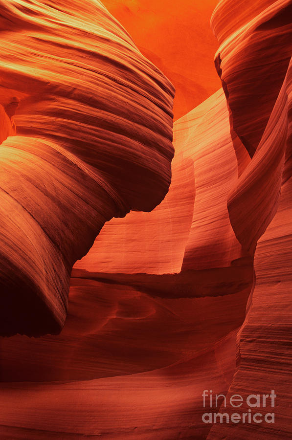 Sculpted Sandstone Upper Antelope Slot Canyon Arizona Photograph by Dave Welling