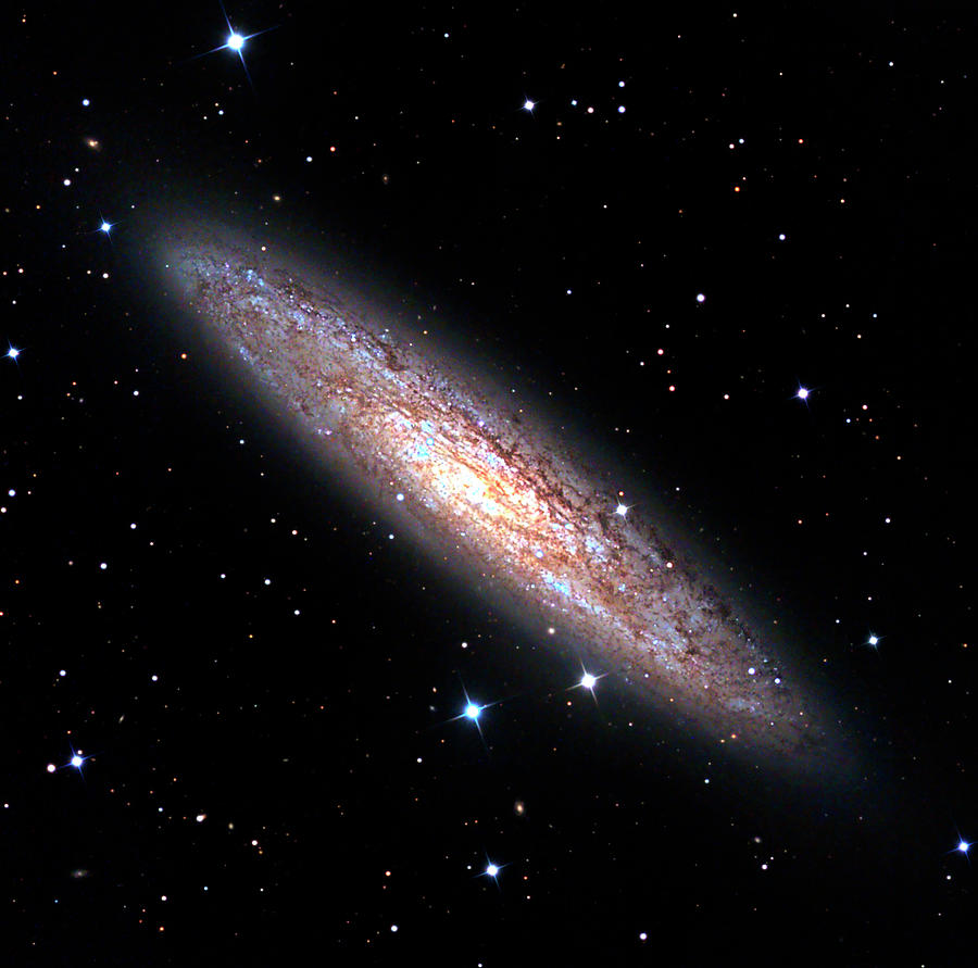 Sculptor Galaxy (ngc 253) Photograph by Damian Peach - Pixels