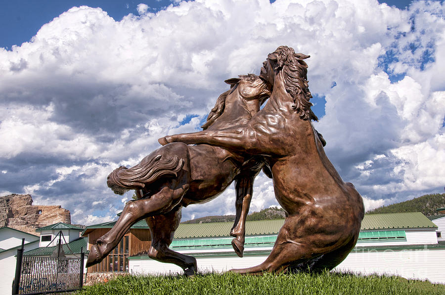 Sculptural Horses Photograph by Brenda Kean