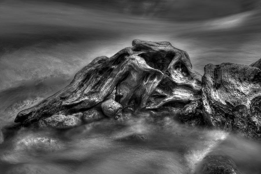Sculpture by nature bw Photograph by Ivan Slosar