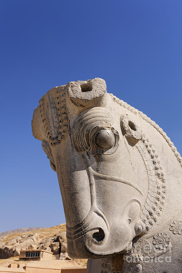 Horse Photograph - Sculture of a horses head at Persepolis in Iran by Robert Preston