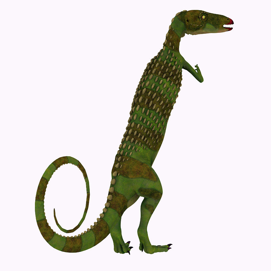 scutellosaurus skeleton