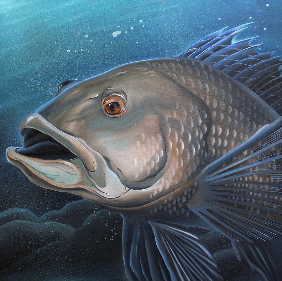 Sea Bass Painting by William Love