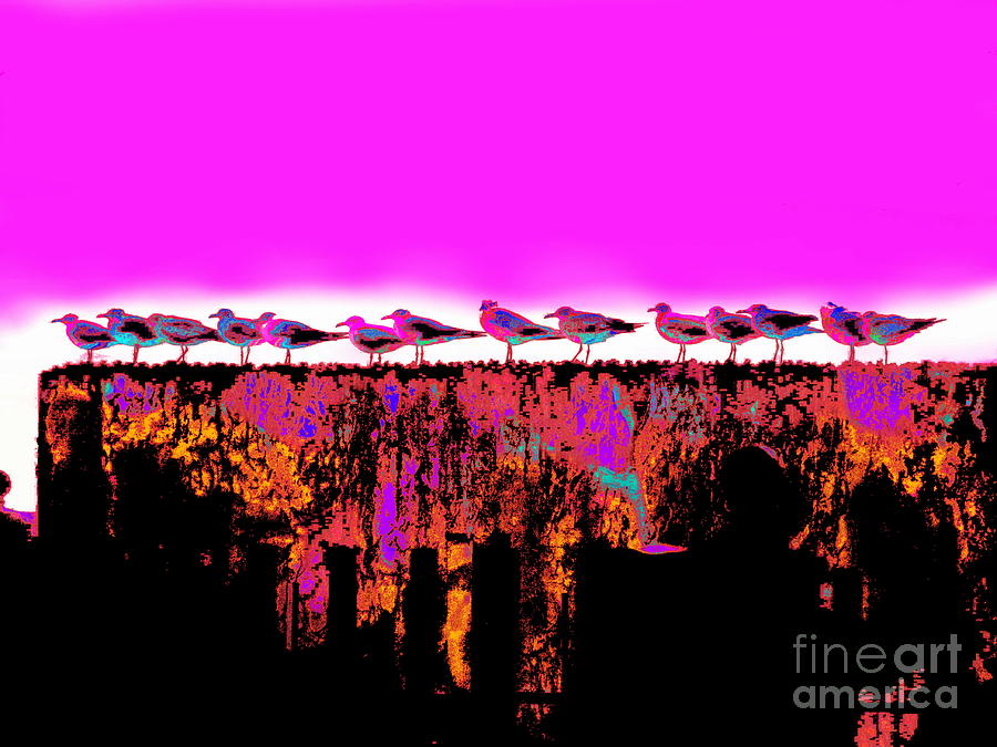 Sea birds purple sky Photograph by Priscilla Batzell Expressionist Art Studio Gallery