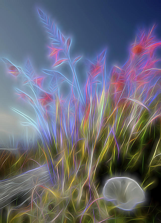 Coastal Wildflowers Digital Art by William Horden