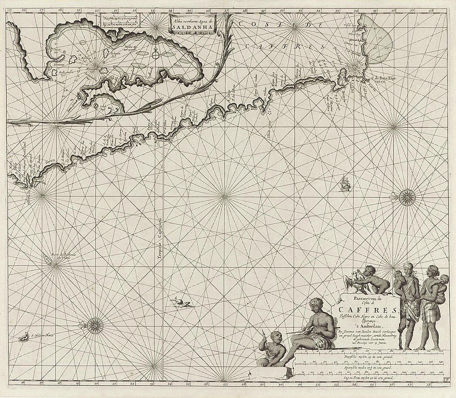 Bird Drawing - Sea Chart Of The Coast Of Namibia And South Africa by Jan Luyken And Johannes Van Keulen (i)