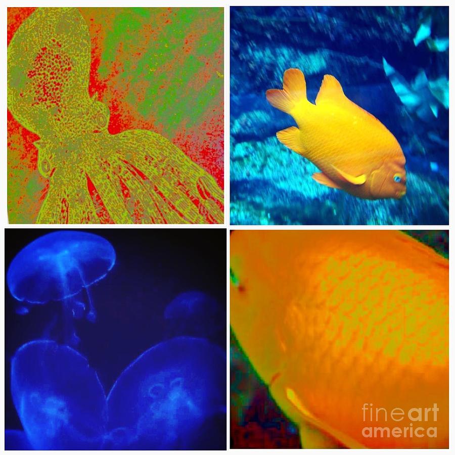 Sea Creatures Collage Photograph by Susan Garren