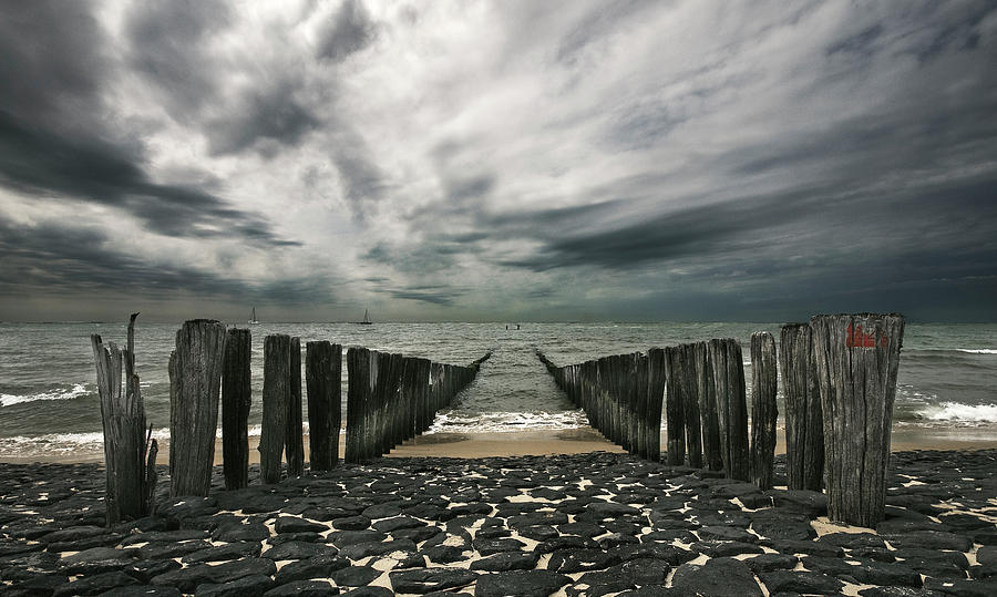 Beach Photograph - Sea Defense by 