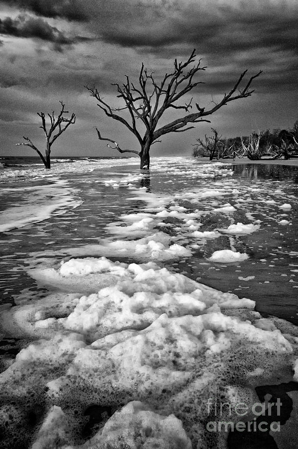 Sea Foam Botany Bay Photograph by Carrie Cranwill