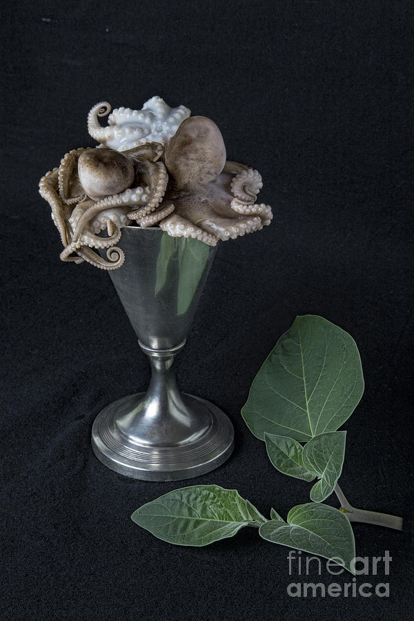 Still Life Photograph - Sea Food Cocktail by Elena Nosyreva