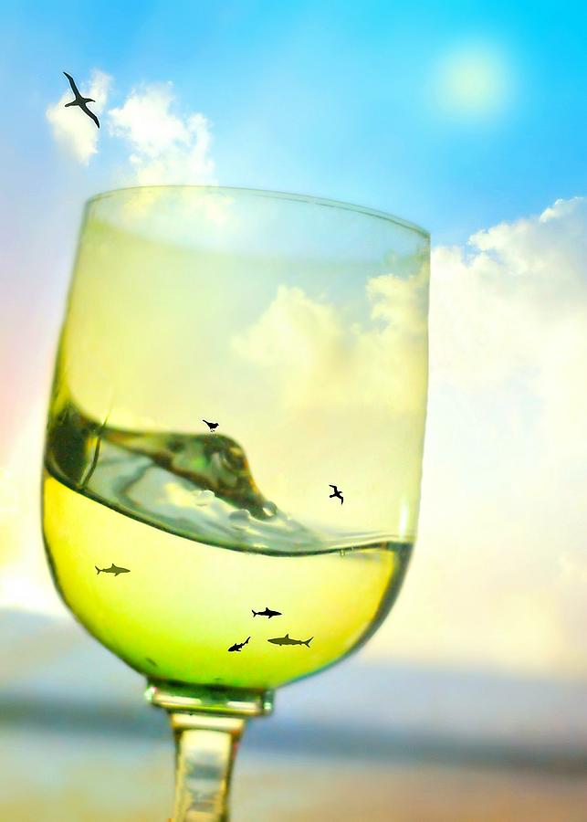Bird Photograph - Sea Glass by Diana Angstadt