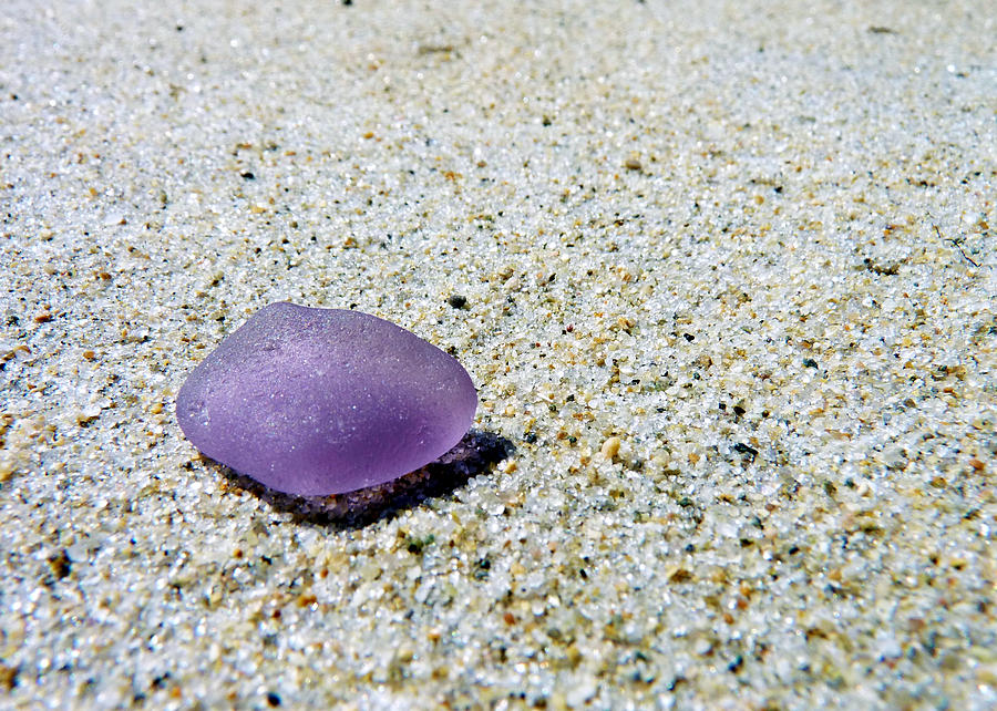 Sea glass in amethyst Photograph by Janice Drew