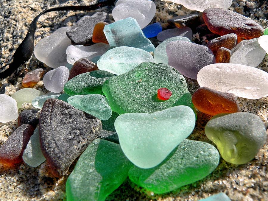 Sea glass in multicolors Photograph by Janice Drew