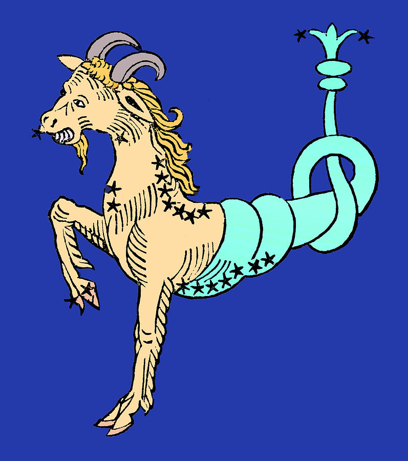 Sea Goat Capricorn