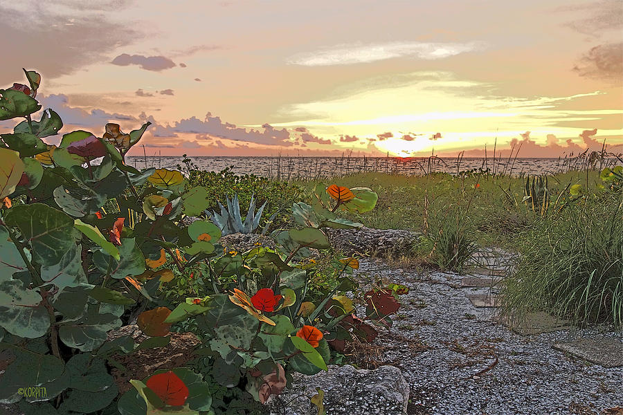 Sea Grapes and Sunset Sanibel Island Photograph by Rebecca Korpita