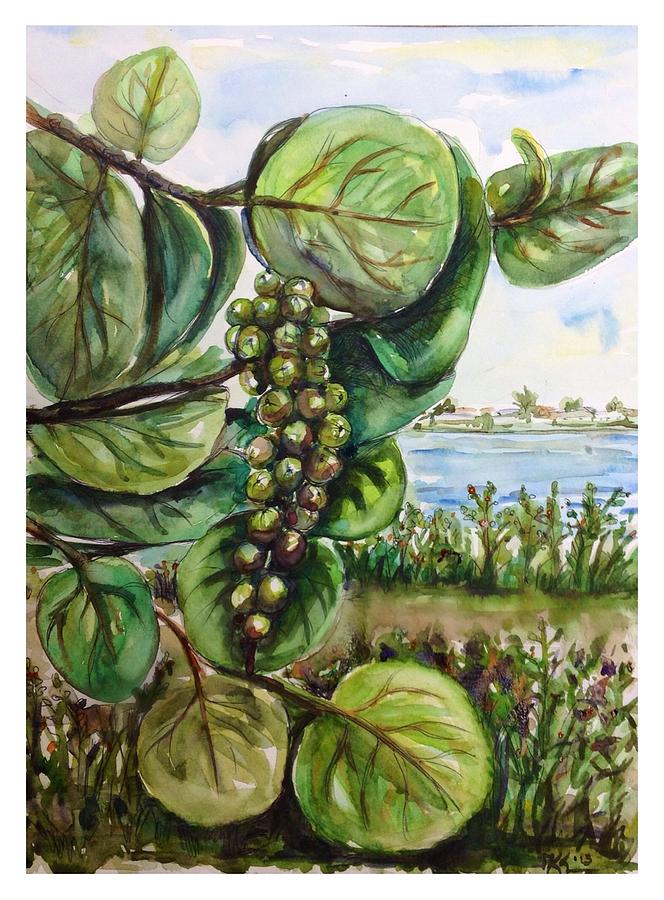 Sea grapes Painting by Katerina Kovatcheva