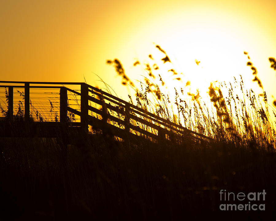 Sunset Photograph - Sea Grass and Broadwalk in the morning light of Southport North  by ELITE IMAGE photography By Chad McDermott