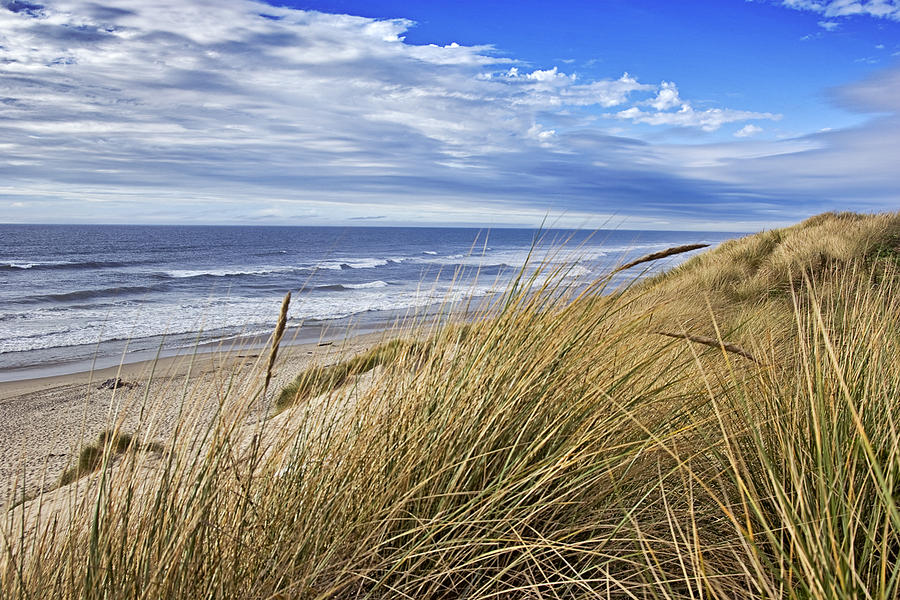 Sea Grass and Sand Dunes Photograph by Paul Riedinger