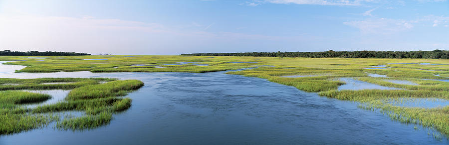 Sea Grass In The Sea, Atlantic Coast Photograph by Panoramic Images