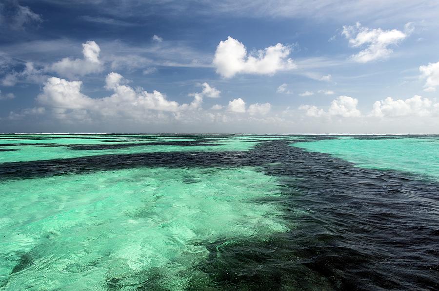 Sea Grass Meadows In The St Joseph Atoll Photograph by Peter Chadwick
