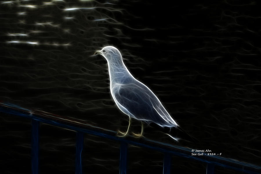 Sea Gull - 8324 - F Digital Art by James Ahn