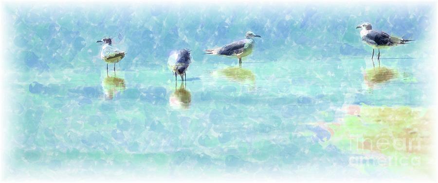 Bird Photograph - Sea Gulls by Kathleen Struckle