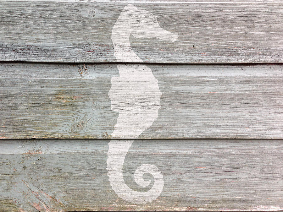 Sea Horse Digital Art by Celestial Images