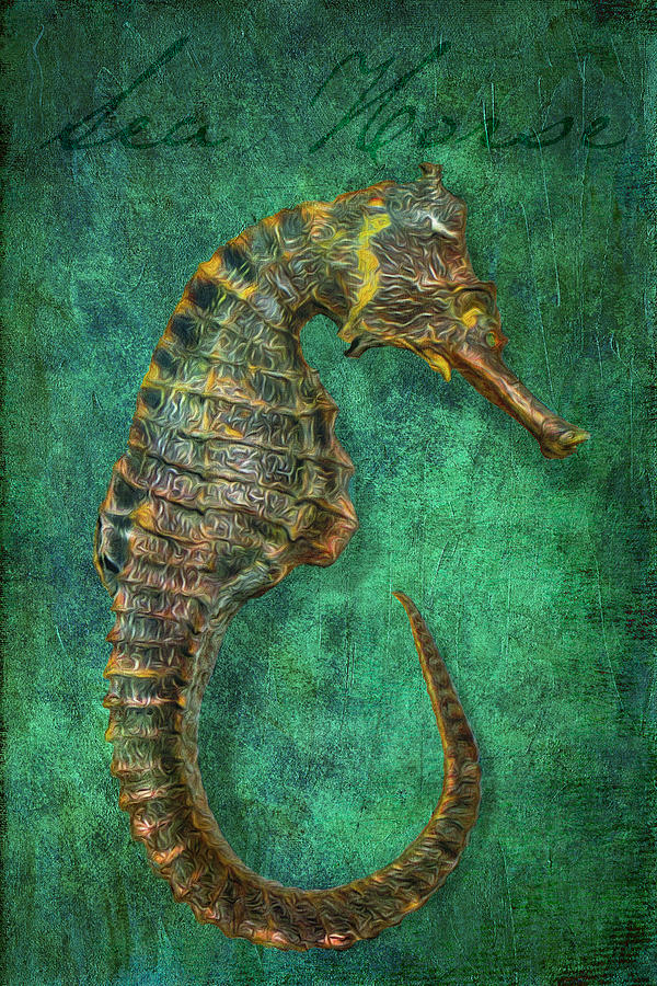 Sea Horse  Digital Art by Sandra Selle Rodriguez