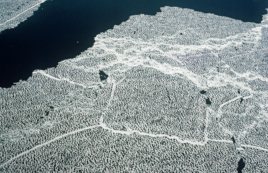 Ice Floes Around Antarctic Coast by Simon Fraser/science Photo Library