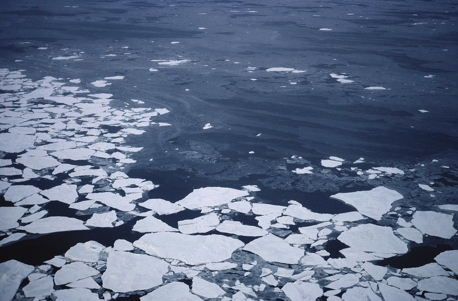 Sea Ice Photograph by Carleton Ray
