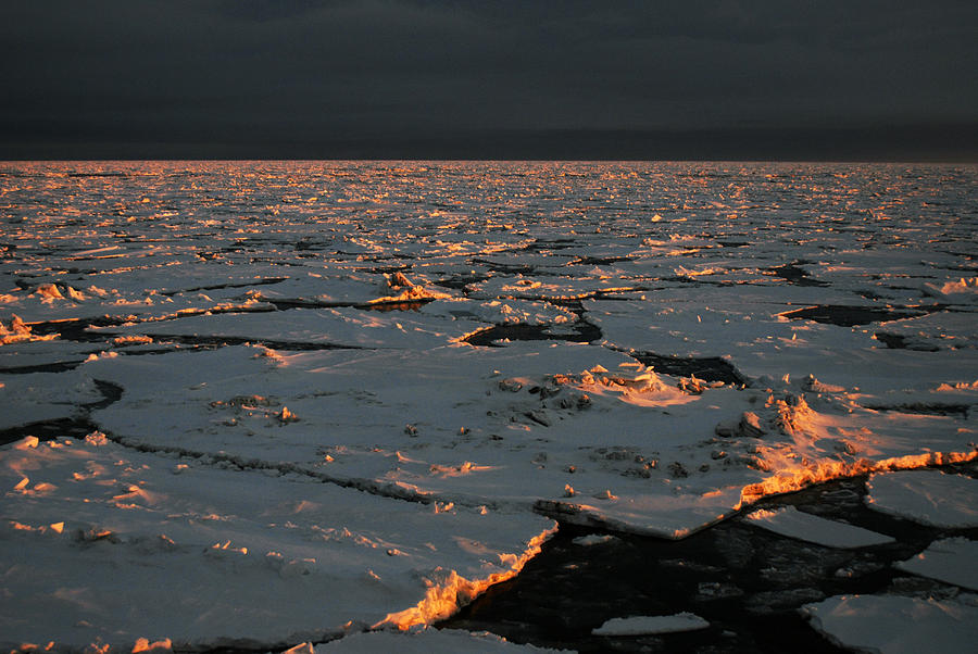 Sea Ice St Sunset Photograph by Carleton Ray