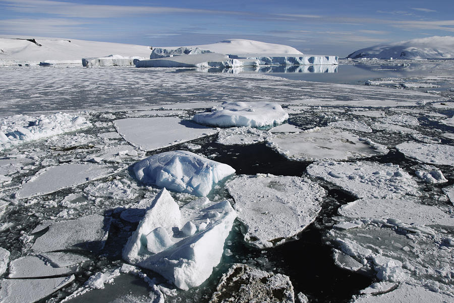 Sea Ice Weddell Sea Antarctica Photograph by Hiroya  Minakuchi