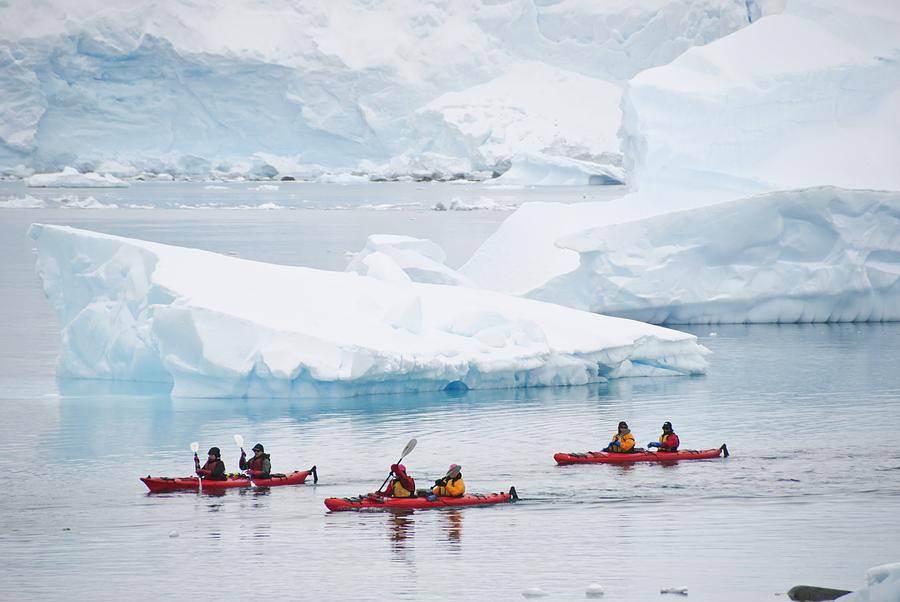 Sea kayaking, Antarctica by Science Photo Library