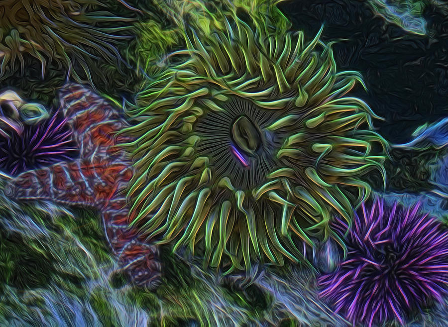 Sea Urchins Digital Art - Sea Life Digital Art by Ernest Echols