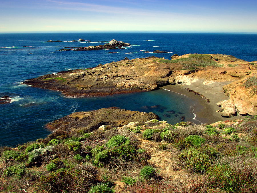 Sea Lion Cove At Point Lobos Photograph by Joyce Dickens