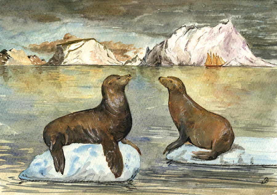 Wildlife Painting - Sea lions by Juan  Bosco