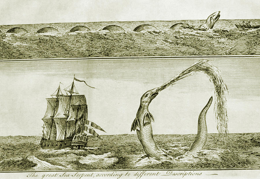 Sea Monster Photograph by George Bernard/science Photo Library