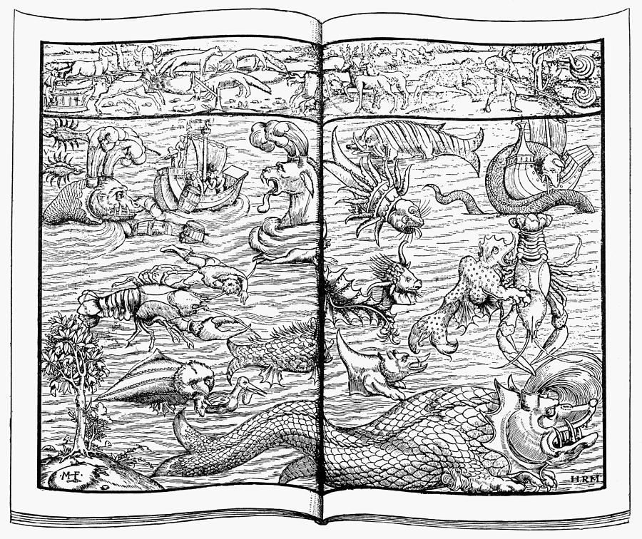 Sea Monsters, 1544 Painting by Granger