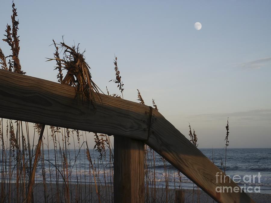 Sea Oats and Wooden Railing Photograph by MM Anderson