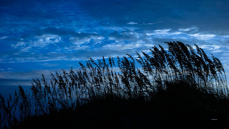 Sea Oats at Dawn Photograph by John Pagliuca