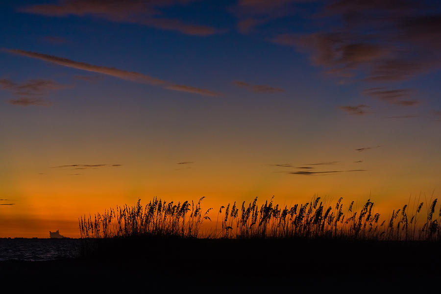 Sea Oats at Twilight Photograph by Ed Gleichman