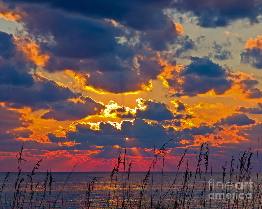 Sea Oats Silhouette Photograph by Stephen Whalen