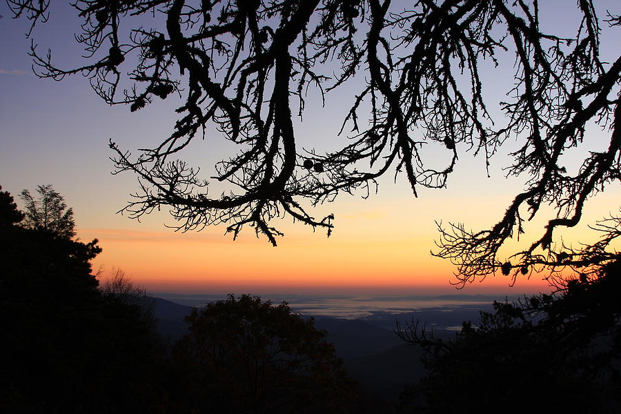 Sea Of Clouds On The Blue Ridge Photograph