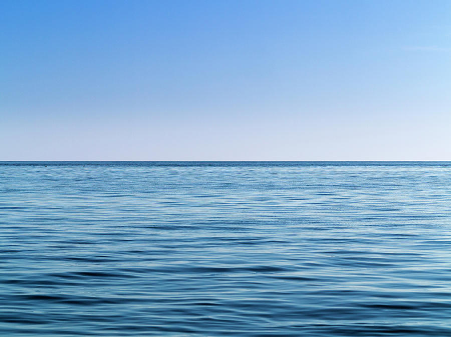 Blue Background Photograph - Sea Of Cortez by Daniel Sambraus