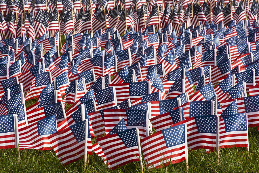 Sea Of Flags Photograph By Dennis Coates - Fine Art America