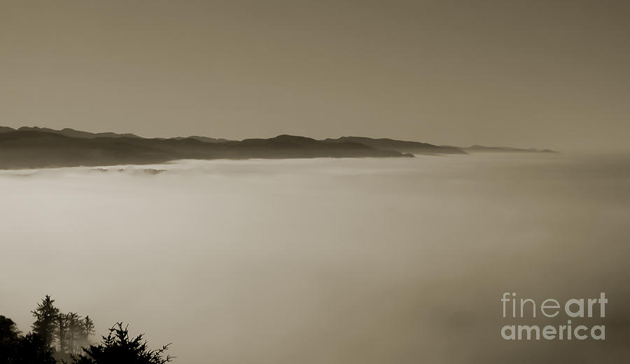 Sea of Fog Photograph by Kathi Shotwell
