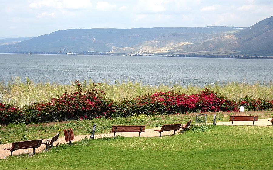 Sea of Galilee and Golan in the spring Photograph by Rita Adams